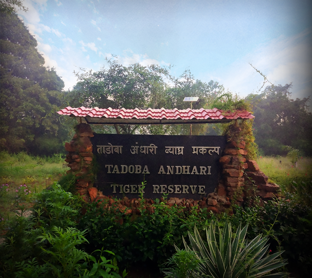 History of Tadoba