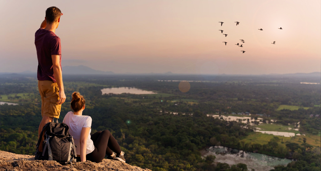 Provides Peaceful Experience