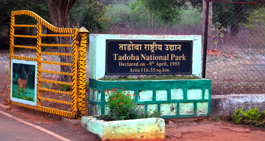 You’ll Support Conservation