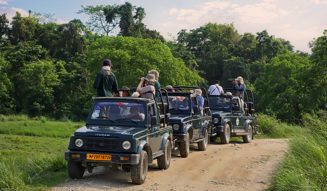 Tadoba Gypsy safari