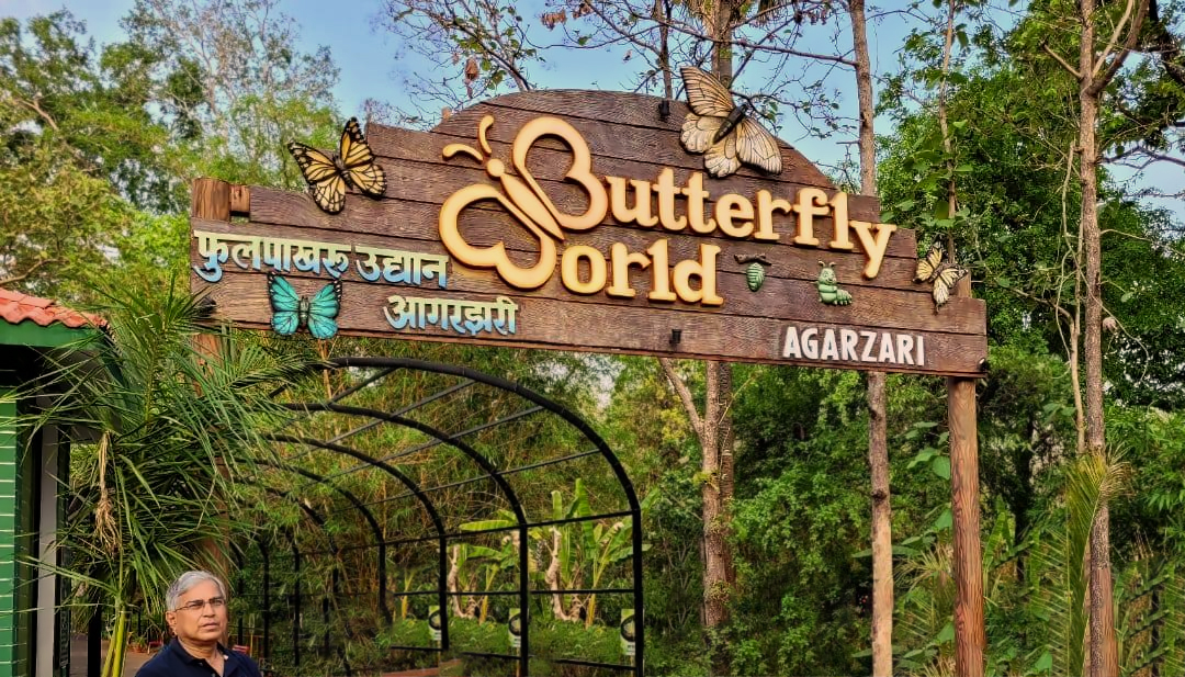 The Magical Butterfly Garden