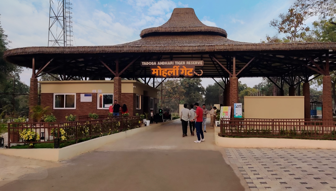 Moharli Zone Moharli Zone