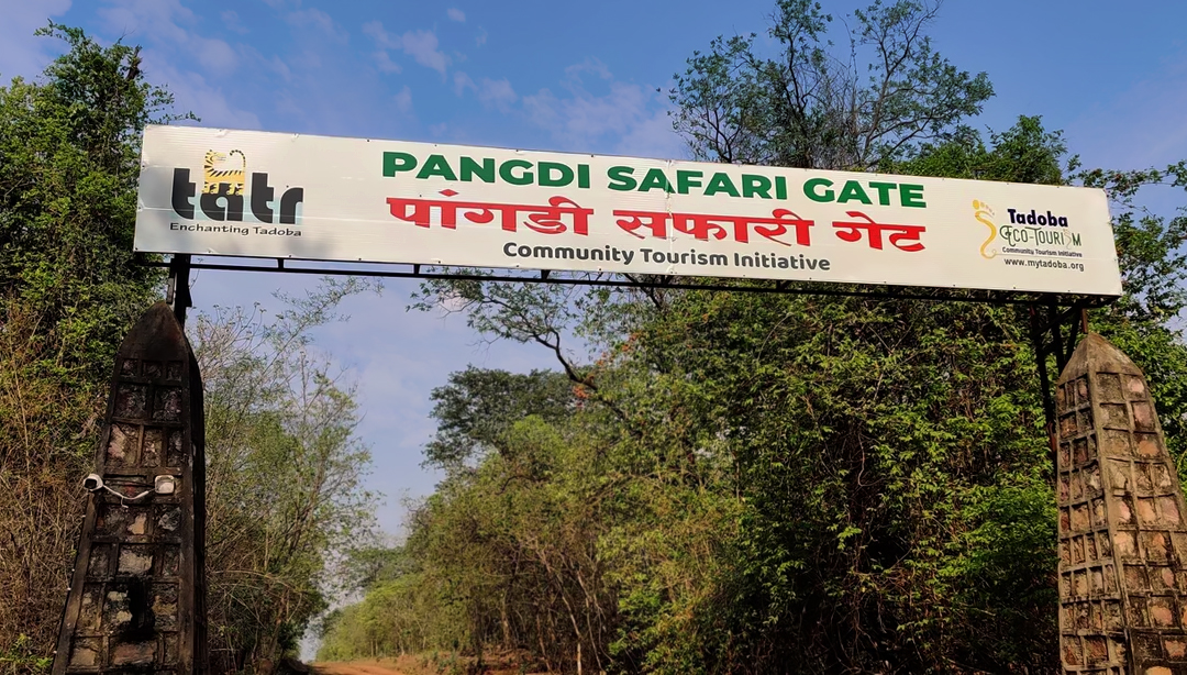 Pangadi & Zari Zone Pangadi & Zari Zone